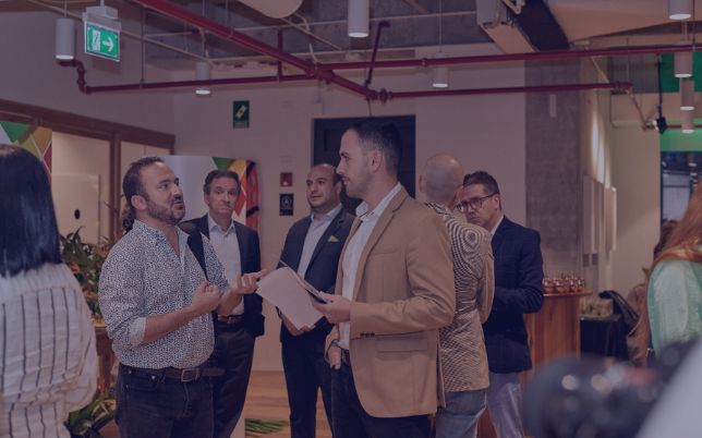 web servicios parlare (2)